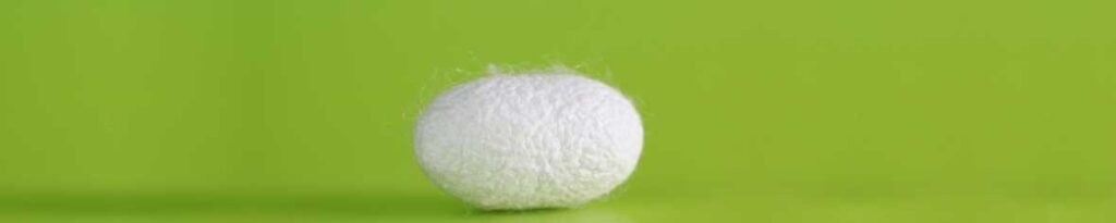 mejores microrrelatos