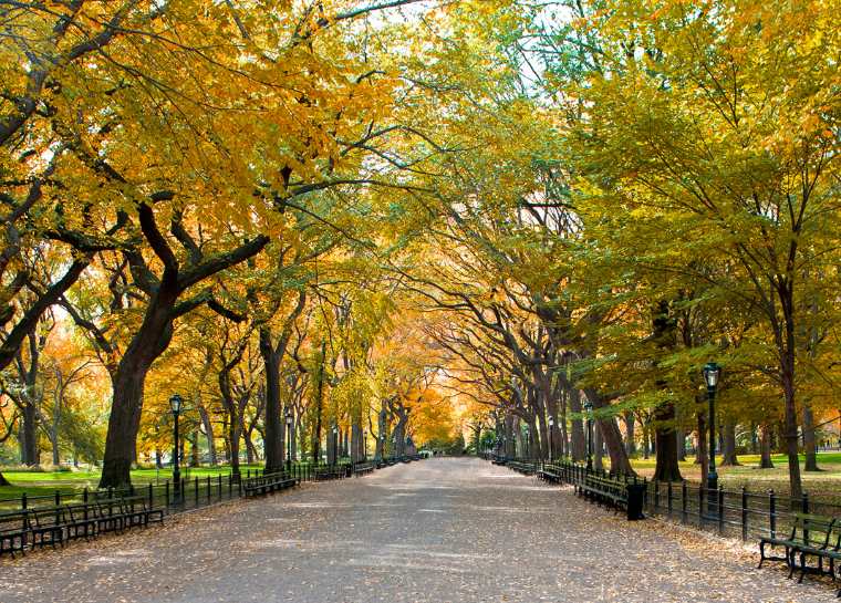 Nueva York